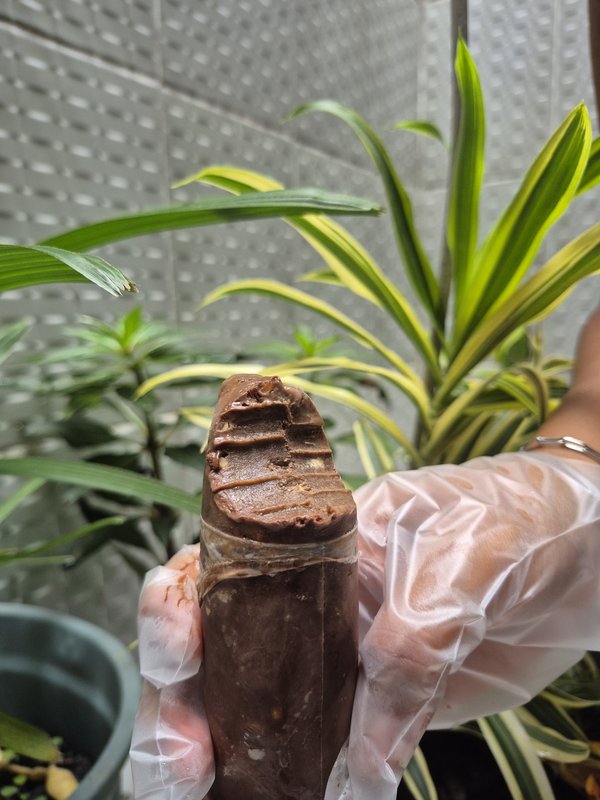 Ferrero Rocher (Aprox. 140g)